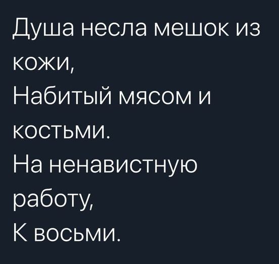 Весёлый полтшок 09.05.24