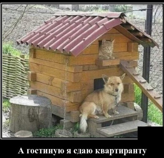 55 демотиваторов опять