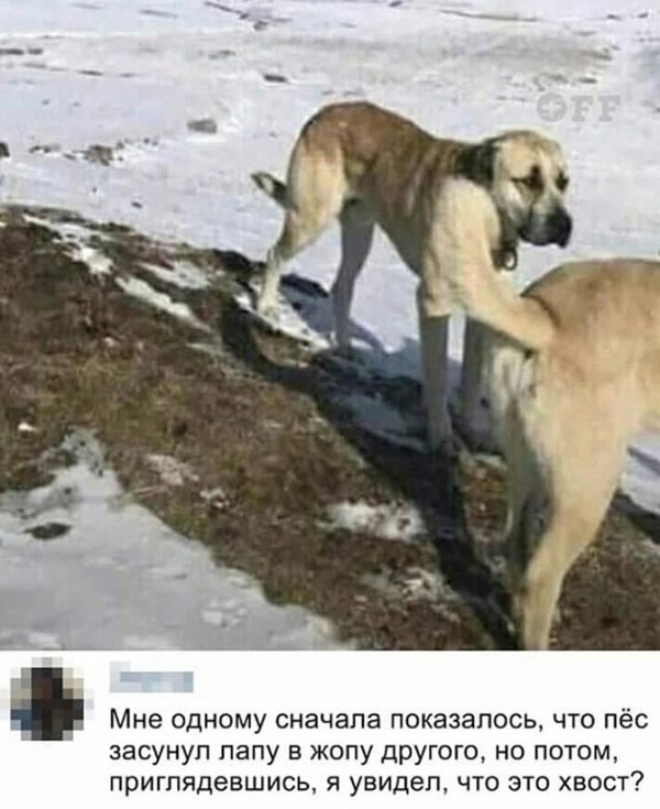 Суббото-баяно-лар