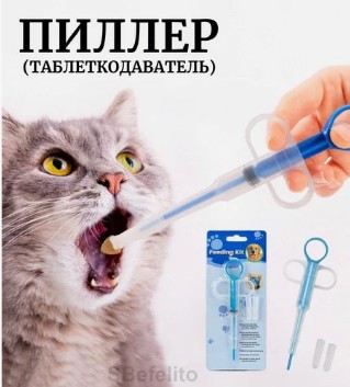 Трое на одного, или суета вокруг кота