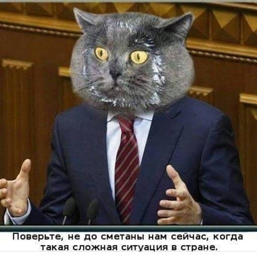 В Госдуме готовят инициативу о запрете трудовым мигрантам перевозить в Россию семьи