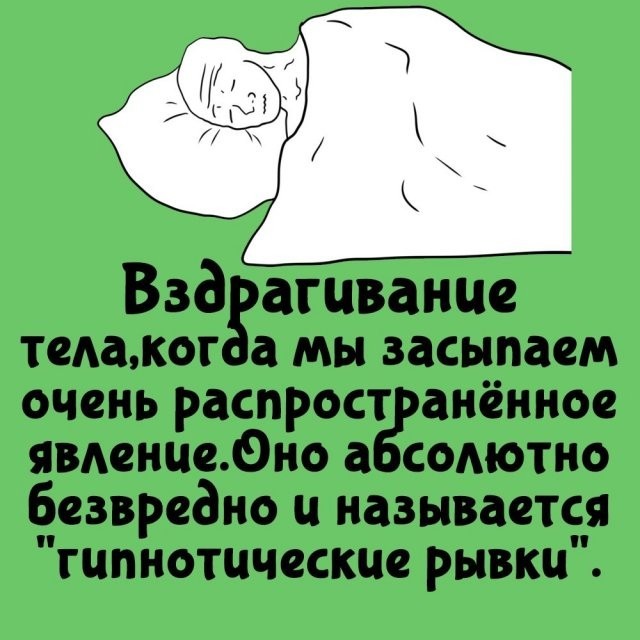 Подборка интересных фактов на все случаи жизни  07.10.24