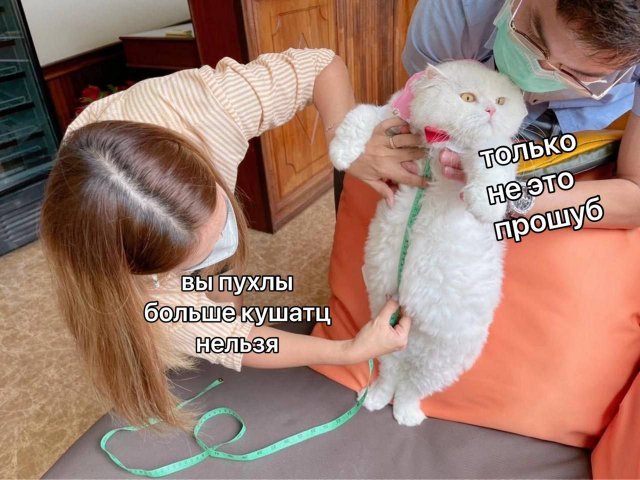 Так себе картинки 20.01.25
