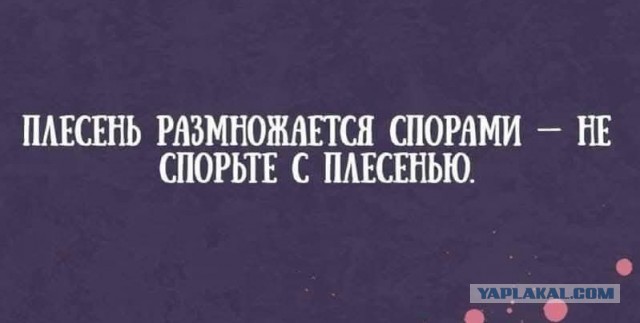 Картинки не для всех