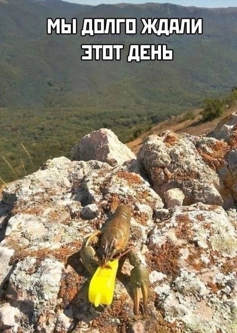 Весёлый полтишок 13.07.25