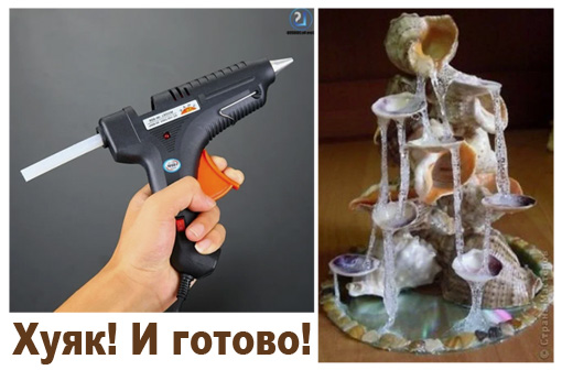 4,6 миллиона ракушек