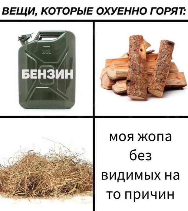 Картинки для деградации 109 (разной степени свежести)
