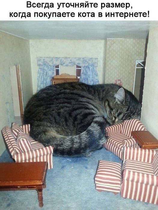 Картинки для деградации 148 (разной степени свежести)