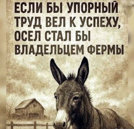 Субботние картинки