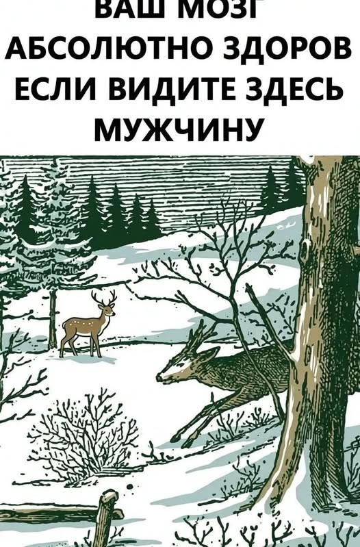 Картинки на среду