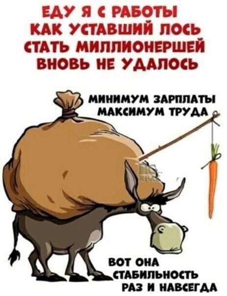Картинки для деградации 309 (разной степени свежести)