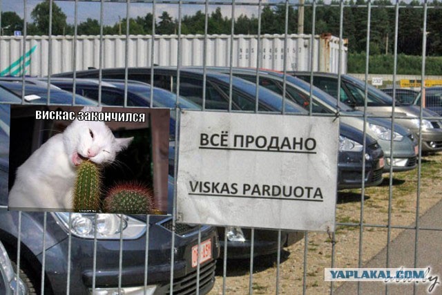 Автомобильный рынок Вильнюса