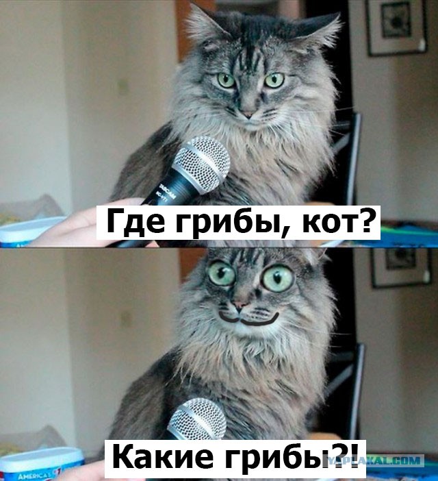 Вот это поворот!