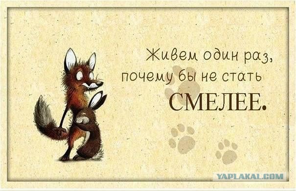 Сайты знакомств в США