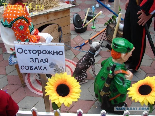 Оригинальное предупреждение на счет собаки