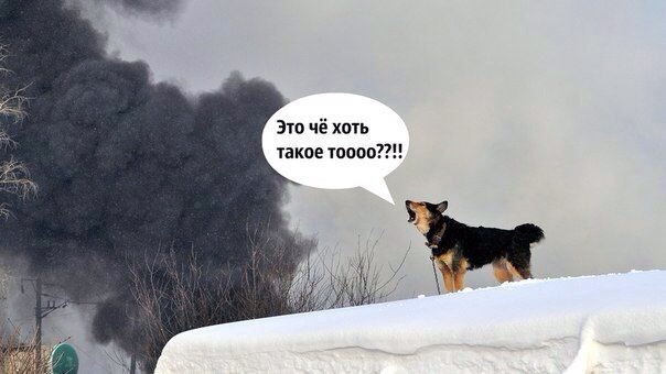 Легкой наркомании пост
