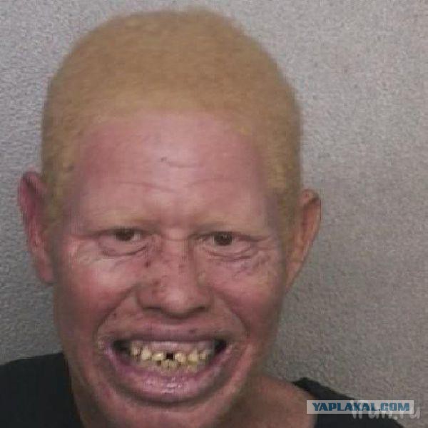 Смешные комментарии из социальных сетей.