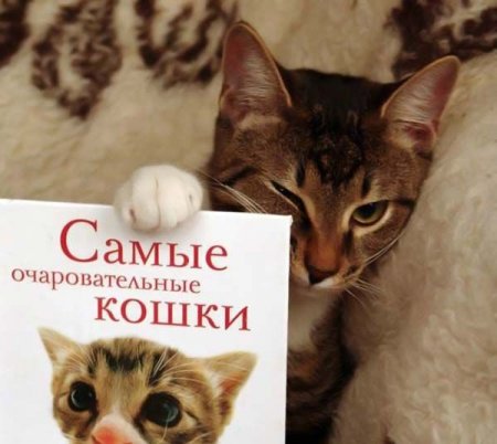 Подборка прикольных фото.