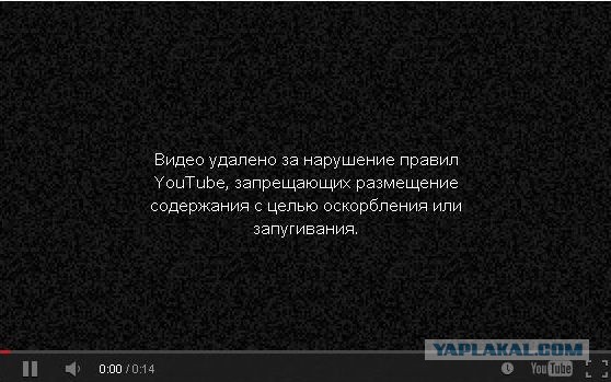 Луганск. Евромайдановец срывал объявления