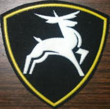 начался штурм Славянска.