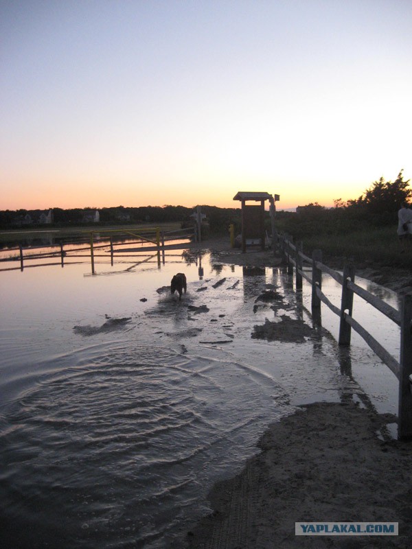 Деревенская Америка