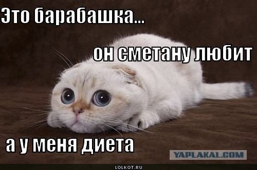 Дневник Домового