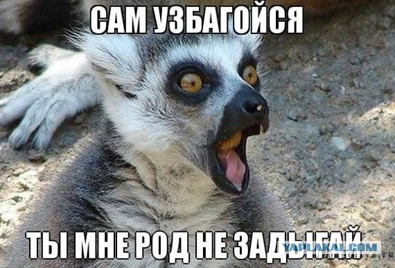Смешные картинки, добавляйте свои!