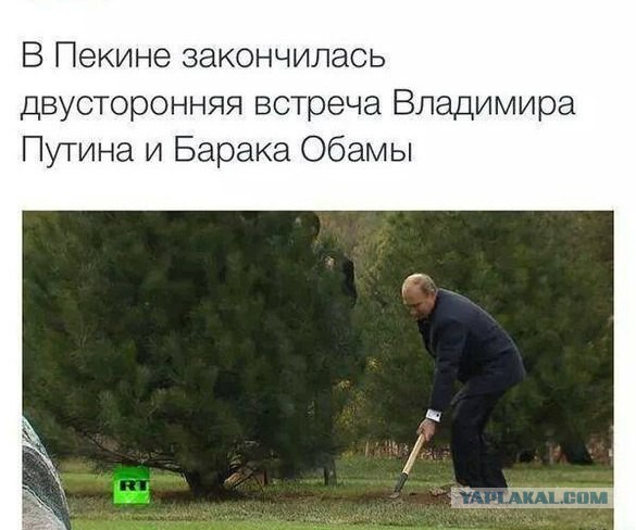 А ну-ка подлети!