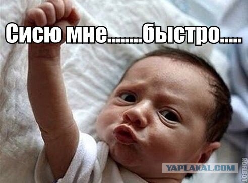 Немного картинок и юмора