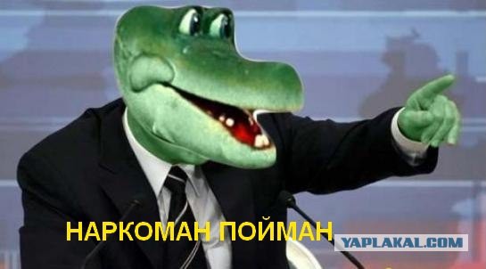 Яценюк заявил, что Россия является виновницей