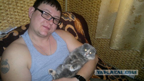 Самые популярные клички кошек и котов