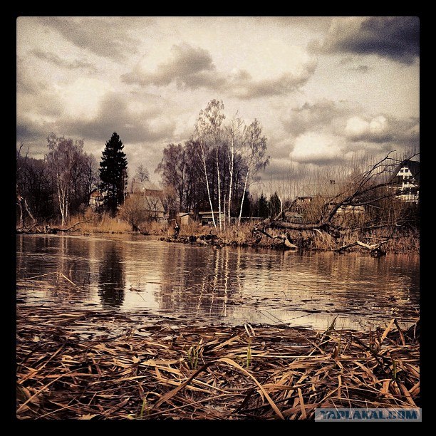Апрель 2012