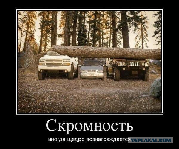 Веселые картиночки для настроения