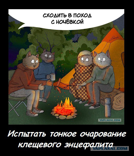 Пока не закончилось лето, постарайтесь успеть...