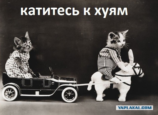 Ксения Собчак идет работать к Игорю Коломойскому