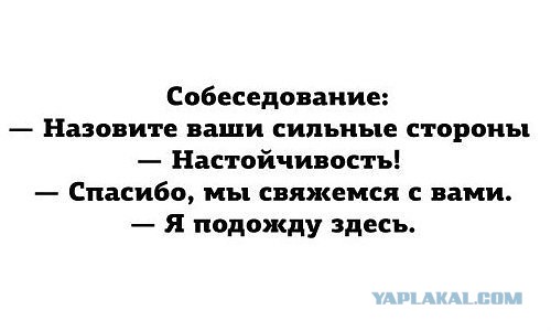 Прикольные фото и картинки