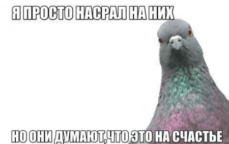 И сказать то нечего...