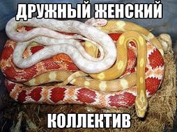Мой взгляд на семейную жизнь