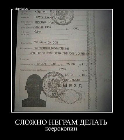 Прикольные картинки