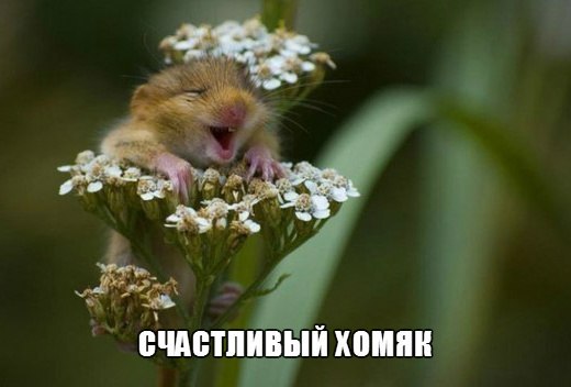 Картинки и демотиваторы