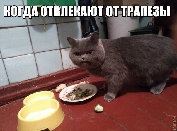 Веселые картинки.