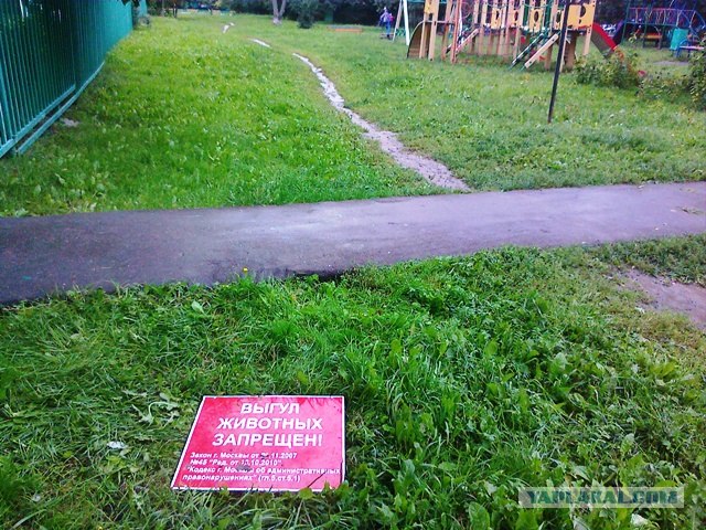 Догхантеры травят собак порошком в парках