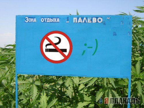 Палева нет механики. Приколы про костю. Палево-бурый. Палева нет механики. Анекдоты про костю.