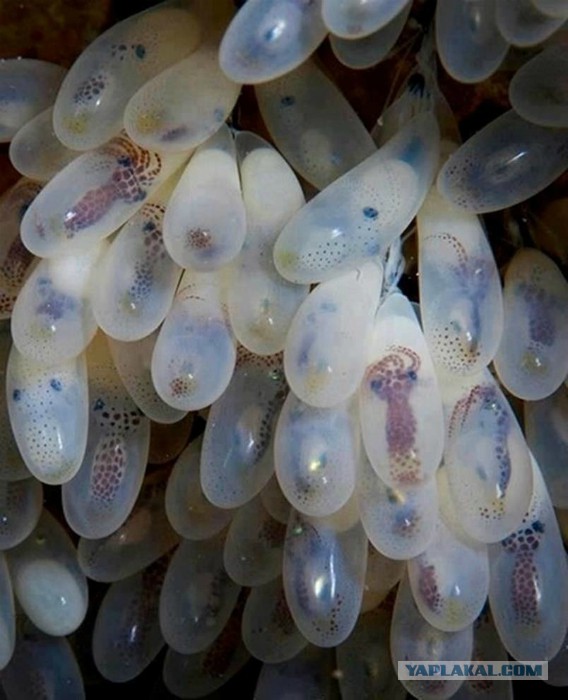 Подборка картинок 19.02.16