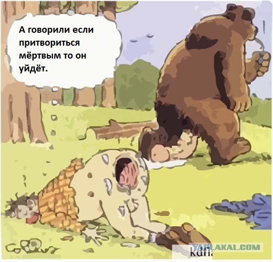 Карикатура