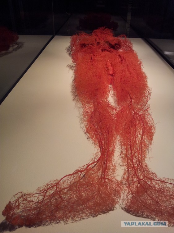 Фрагмент нервной системы человека и "Макаронный монстр"