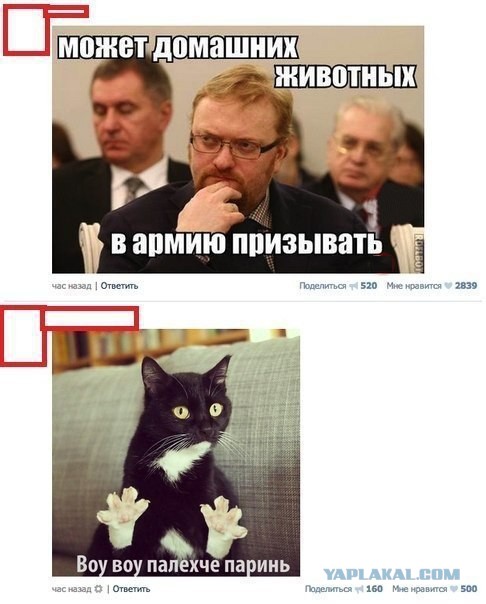 Комментарии, подписи, текстовые приколы