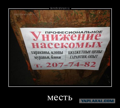 Улыбнись - демотиваторы заЯПись