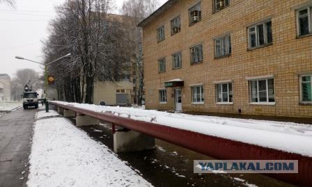 В Москве дерево упало на прохожих