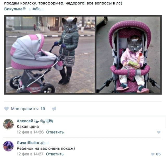 Подсмотрено на просторах